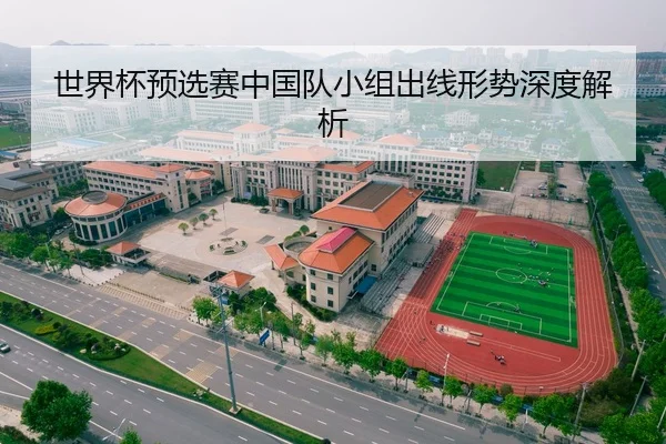 世界杯预选赛中国队小组出线形势深度解析